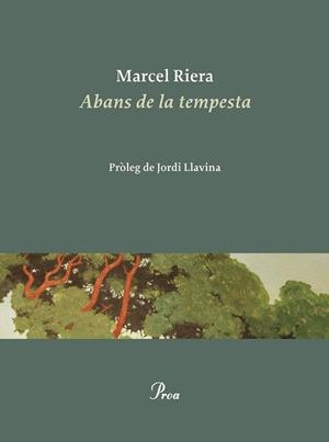 ABANS DE LA TEMPESTA | 9788475889900 | RIERA BOU, MARCEL | Cooperativa Cultural Rocaguinarda