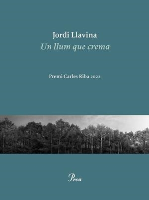 LLUM QUE CREMA, UN | 9788475889979 | LLAVINA, JORDI | Cooperativa Cultural Rocaguinarda