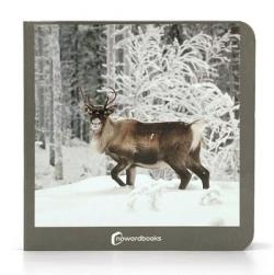 ANIMALES POLARES | 9788412534474 | Cooperativa Cultural Rocaguinarda