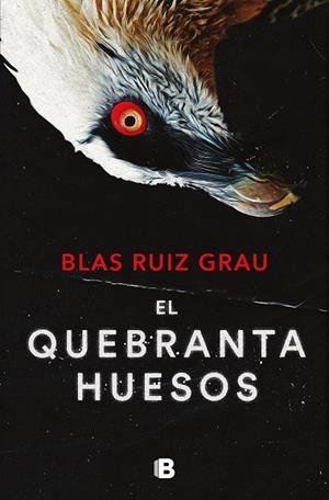 QUEBRANTAHUESOS, EL (NICOLÁS VALDÉS 4) | 9788466673600 | RUIZ GRAU, BLAS | Cooperativa Cultural Rocaguinarda