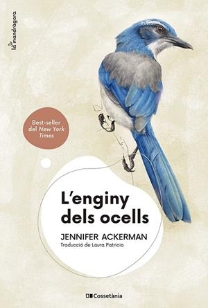 ENGINY DELS OCELLS, L' | 9788413562544 | ACKERMAN, JENNIFER | Cooperativa Cultural Rocaguinarda