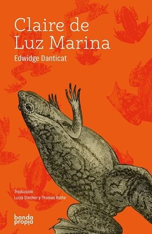 CLAIRE DE LUZ MARINA | 9789566088110 | DANTICAT, EDWIG | Cooperativa Cultural Rocaguinarda