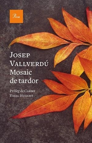 MOSAIC DE TARDOR | 9788419657244 | VALLVERDÚ AIXALÀ, JOSEP | Cooperativa Cultural Rocaguinarda