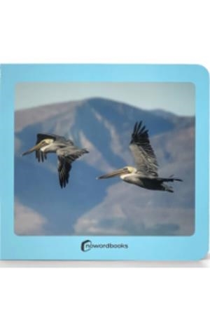 AVES 48 | 9788412534498 | Cooperativa Cultural Rocaguinarda