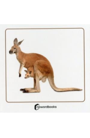 ANIMALES SALVAJES Y SUS CRIAS | 9788412683639 | Cooperativa Cultural Rocaguinarda