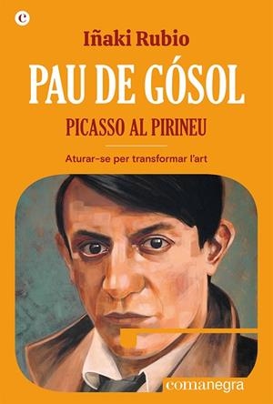 PAU DE GÓSOL. PICASSO AL PIRINEU | 9788419590404 | RUBIO, IÑAKI | Cooperativa Cultural Rocaguinarda
