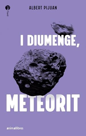 I DIUMENGE, METEORIT | 9788419659415 | ALBERT PIJUAN | Cooperativa Cultural Rocaguinarda