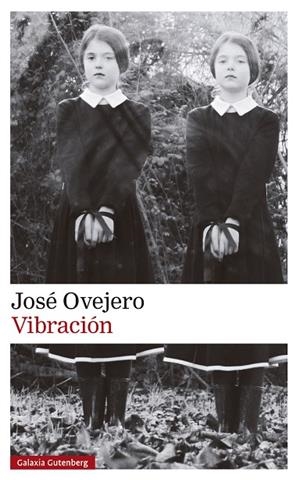 VIBRACIÓN | 9788419738615 | OVEJERO, JOSÉ | Cooperativa Cultural Rocaguinarda