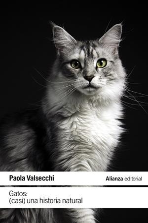 GATOS: (CASI) UNA HISTORIA NATURAL | 9788411485616 | VALSECCHI, PAOLA | Cooperativa Cultural Rocaguinarda