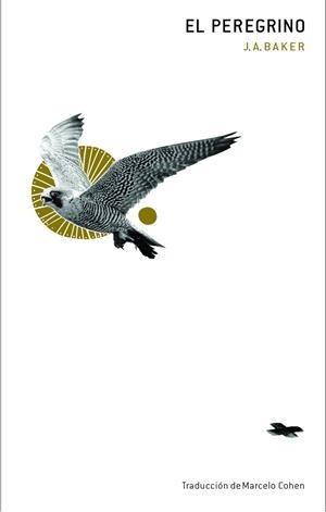 PEREGRINO, EL | 9788412816020 | BAKER, J.A. | Cooperativa Cultural Rocaguinarda
