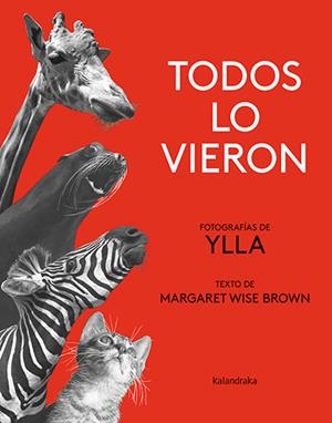 TOTHOM HO VA VEURE | 9788418558580 | BROWN, MARGARET WISE | Cooperativa Cultural Rocaguinarda