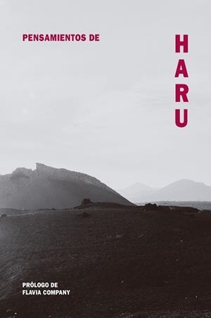 PENSAMIENTOS DE HARU | 9788418223495 | COMPANY, FLAVIA | Cooperativa Cultural Rocaguinarda
