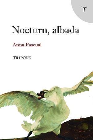 NOCTURN, ALBADA | 9788412817997 | PASCUAL VALL, ANNA | Cooperativa Cultural Rocaguinarda