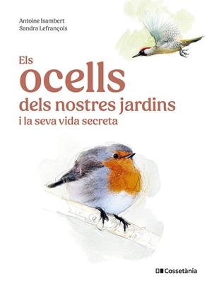 OCELLS DELS NOSTRES JARDINS I LA SEVA VIDA SECRETA, ELS | 9788413563626 | ISAMBERT, ANTOINE | Cooperativa Cultural Rocaguinarda