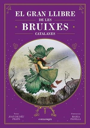 GRAN LLIBRE DE LES BRUIXES CATALANES, EL | 9788410161337 | PRATS, JOAN DE DÉU/PADILLA, MARIA | Cooperativa Cultural Rocaguinarda
