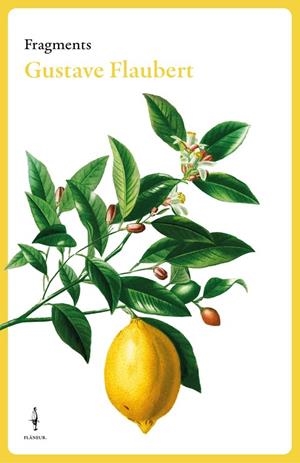 FRAGMENTS GUSTAVE FLAUBERT | 9788409684007 | FLAUBERT, GUSTAVE | Cooperativa Cultural Rocaguinarda