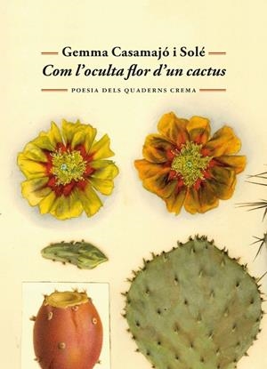 COM L'OCULTA FLOR D'UN CACTUS | 9788477277071 | CASAMAJÓ I SOLÉ, GEMMA | Cooperativa Cultural Rocaguinarda