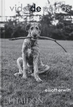 VIDA DE PERROS | 9781838669744 | Cooperativa Cultural Rocaguinarda