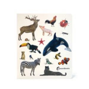 ANIMALES! | 9788412906882 | NOWORDBOOKS | Cooperativa Cultural Rocaguinarda