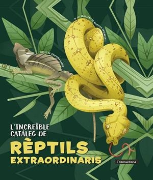 INCREÏBLE CATÀLEG DE RÈPTILS EXTRAORDINARIS, L' | 9788418520341 | BANFI, CRISTINA | Cooperativa Cultural Rocaguinarda