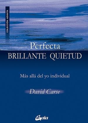 PERFECTA BRILLANTE QUIETUD | 9788484452584 | CARSE, DAVID | Cooperativa Cultural Rocaguinarda
