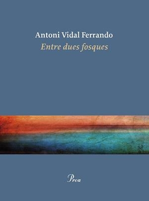 ENTRE DUES FOSQUES | 9788410488434 | VIDAL FERRANDO, ANTONI | Cooperativa Cultural Rocaguinarda