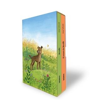 ESTOIG ROVELLÓ | 9788424676520 | VALLVERDÚ I AIXALÀ, JOSEP | Cooperativa Cultural Rocaguinarda