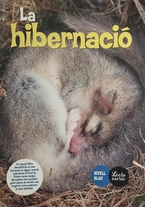 HIBERNACIÓ, LA | 9788409807420 | COSTA IZURDIAGA, ANDRES | Cooperativa Cultural Rocaguinarda