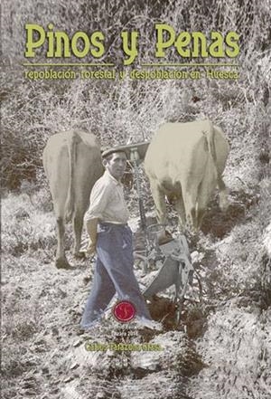 PINOS Y PENAS | 9788409097456 | TARAZONA GRASA, CARLOS | Cooperativa Cultural Rocaguinarda