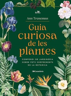 GUIA CURIOSA DE LES PLANTES | 9788413565354 | TRENEMAN, ANN | Cooperativa Cultural Rocaguinarda