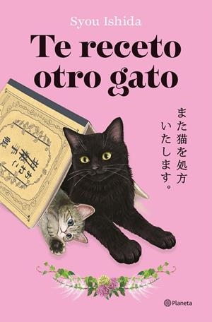 TE RECETO OTRO GATO | 9788408318705 | ISHIDA, SYOU | Cooperativa Cultural Rocaguinarda