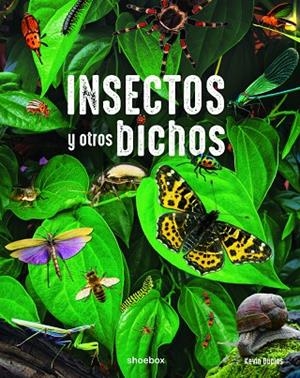 INSECTOS Y OTROS BICHOS | 9781773886718 | AA.VV. | Cooperativa Cultural Rocaguinarda