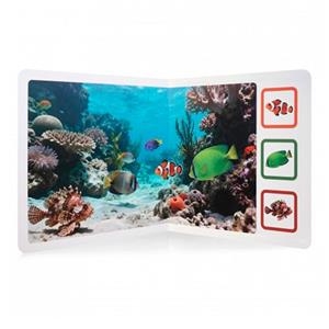 ENCUÉNTRAME EN EL MAR | 9791399054286 | AA.VV. | Cooperativa Cultural Rocaguinarda