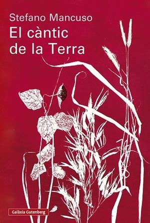 CÀNTIC DE LA TERRA, EL | 9791388019852 | MANCUSO, STEFANO | Cooperativa Cultural Rocaguinarda