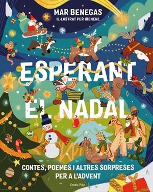 ESPERANT EL NADAL. CONTES, POEMES I ALTRES SORPRESES PER A L'ADVENT | 9791388358012 | BENEGAS, MAR | Cooperativa Cultural Rocaguinarda